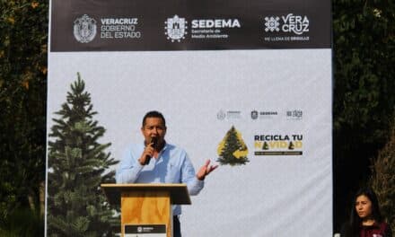 150 centros de acopio de árboles de Navidad  estarán abiertos hasta el 11 de febrero