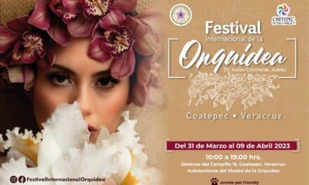 Coatepec realizará el Festival Orquídea más grande de México