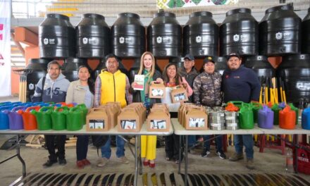 DIF ESTATAL DE VERACRUZ IMPULSA LA ECONOMÍA DE LAS FAMILIAS