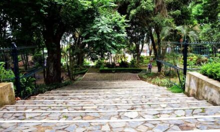 Ciudadanos piden mayor seguridad en el Parque Bicentenario