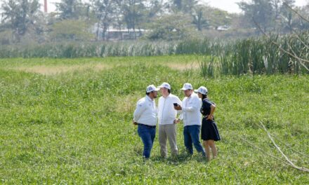 Gobierno del Estado invertirá 30 mdp para el rescate de la Laguna Lagartos en el Puerto