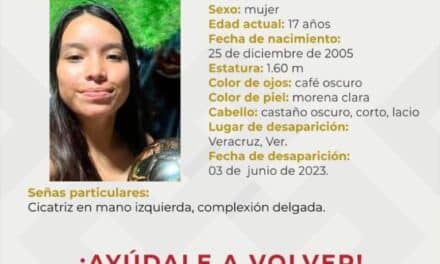 Ayuda para localizar a Anamile Méndez Santibañez