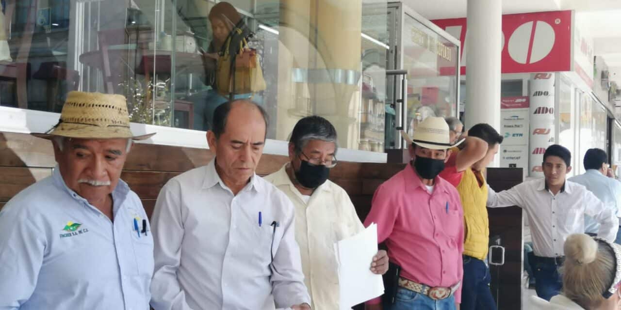 Consejo Regional del Café de Coatepec pide intervención del gobierno ante disminución en sus precios