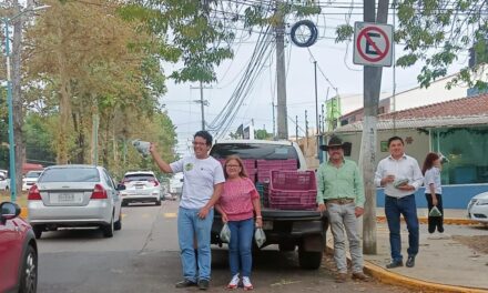 Productores de aguacate lograron vender 900 kilos en Xalapa