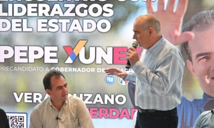 Un verdadero veracruzano gobernará Veracruz: Julen Rementería