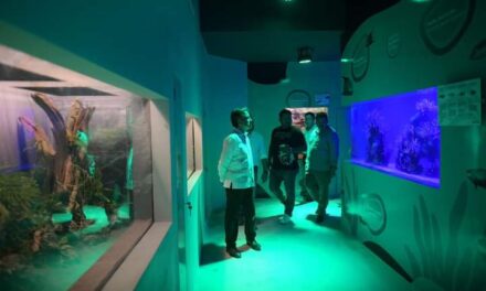 El Aquarium de Veracruz trabaja de forma responsable y profesional en el manejo de especies marinas:PMA