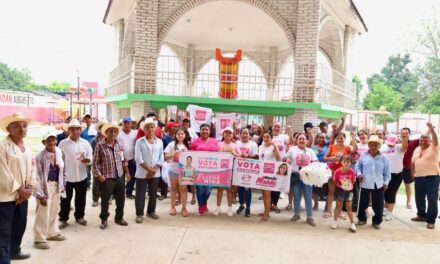Invita Roxana Mina a fortalecer la democracia, votando por candidatos de Fuerza por México
