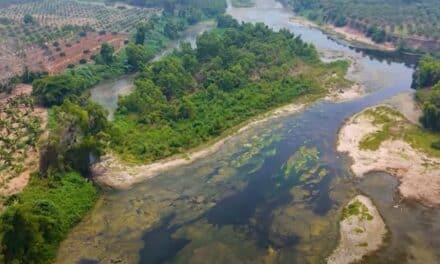 Tuxpan invierte 500 mdp en obra hidráulica que ayudará a combatir la «cuña marina»