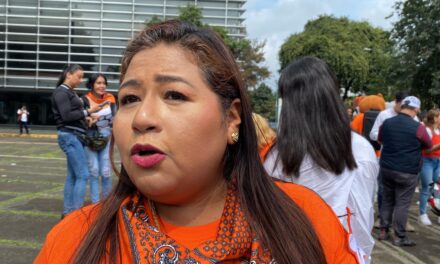 En el día mundial del perro callejero, persiste el maltrato en Xalapa