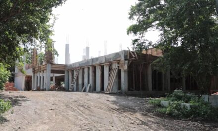 Habrá hospital de Rescate Animal en Veracruz