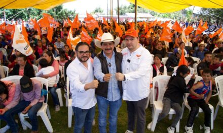 Un doctor, un comerciante y un chayotero encabezarán en municipios claves de las altas montañas a Movimiento Ciudadano.