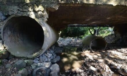 Banderilla se prepara ante la temporada de estiaje para garantizar el abasto de agua