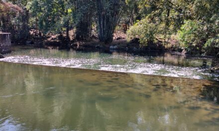 CAEV suspende bombeo desde Río Chiquihuite a Paso del Macho por contaminación