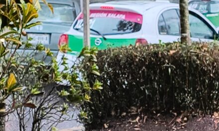 Seguiran las lluvias en Xalapa; hasta el momento hay saldo blanco
