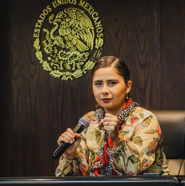 Abogados y Juzgadores estamos en deuda con pueblos originarios: Daniela Suárez