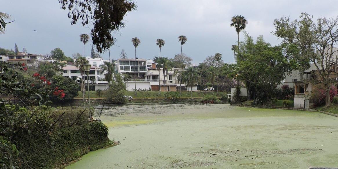 Román Moreno pide no politizar la contaminación del Lago de Las Ánimas y exige sancionar a responsables