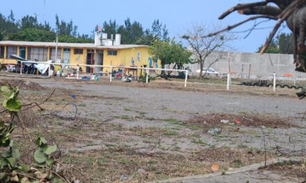 Fundación Yaritza realiza Venta con Causa para continuar con equinoterapias