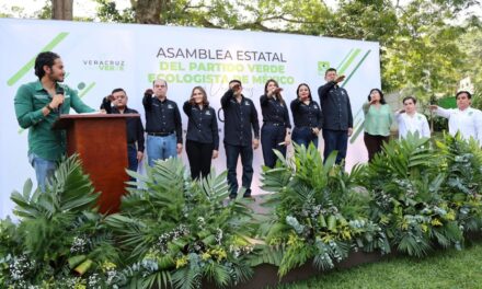 Fortalecimiento territorial y nuevos liderazgos los cambios de Edgar Herrera en el Verde Ecologista de Veracruz