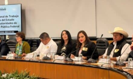 Con trabajo institucional y en equipo, para dar mejores resultados a las comunidades de Veracruz: Claudia Nava