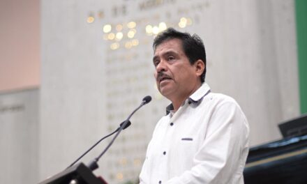 En creación de Plan Municipal de Desarrollo, debe consultarse a pueblos originarios