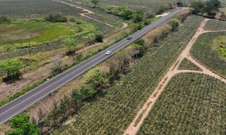 Compromiso cumplido: Rocío Nahle entrega primer tramo de Isla–Santiago Tuxtla