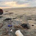 Alertan organizaciones por daños ecológicos y económicos tras derrame de hidrocarburos en las costas del Golfo de México.