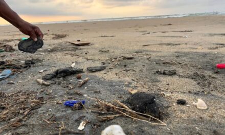 Alertan organizaciones por daños ecológicos y económicos tras derrame de hidrocarburos en las costas del Golfo de México.