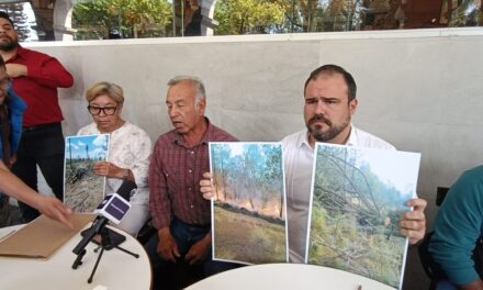 Ecocidio e impunidad denuncia diputado González Naveda