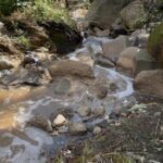 En Xalapa, desde el 2018  contaminación en el predio de El Tronconal