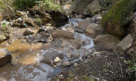 En Xalapa, desde el 2018  contaminación en el predio de El Tronconal