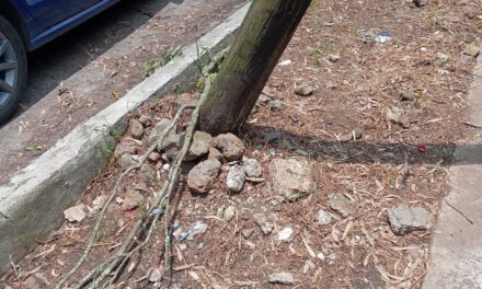 Vecinos de la colonia Progreso exigen atención de la CFE por poste inclinado tras tormenta