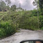 Las lluvias provocan caída de ocho árboles y la antena de Radio Teocelo