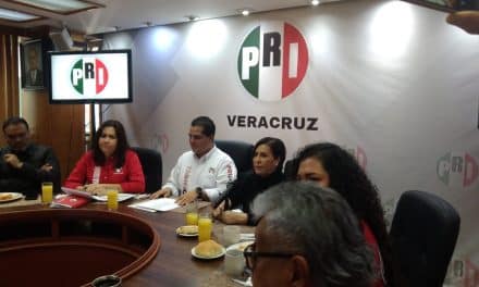 En Veracruz se recibió propuesta para promover juicio político contra Guadalupe Taddei
