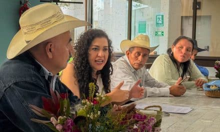 Orizaba se convierte en el primer municipio libre de celulares